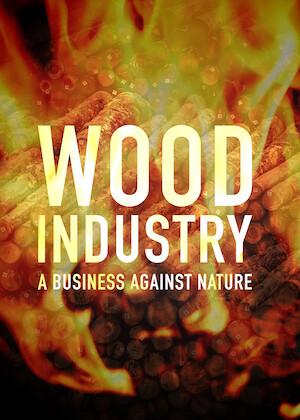 Wood Industry: A Business Against Nature